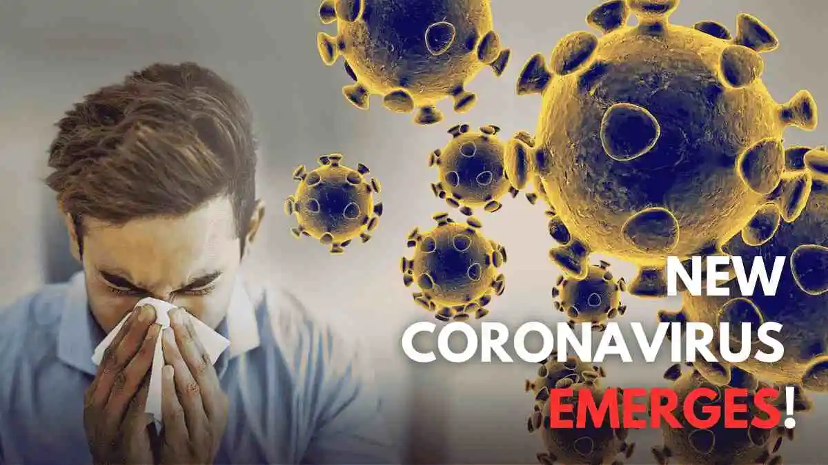 new Coronavirus is here!